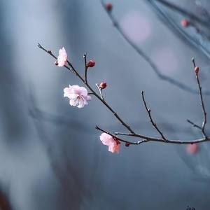 Meet your Posher, Li